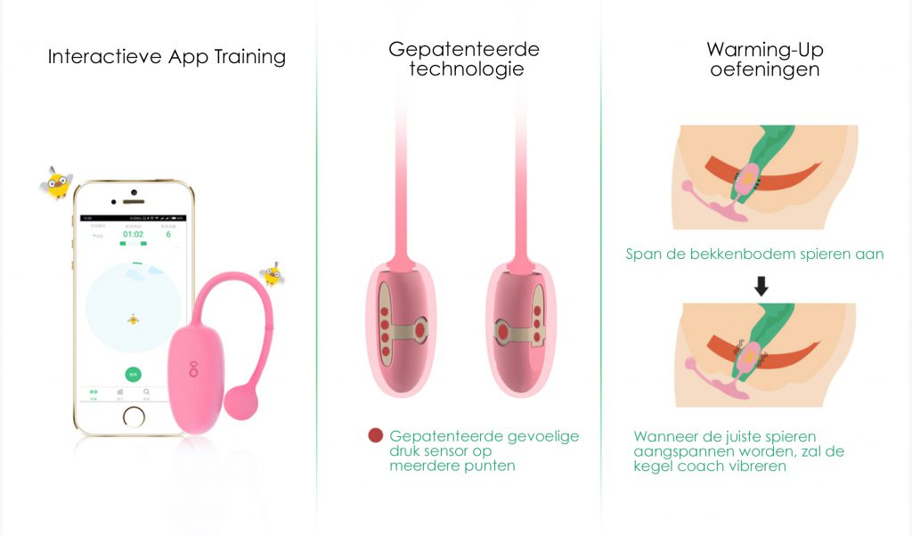 magic motion kegel coach bekkenbodem trainen cupido