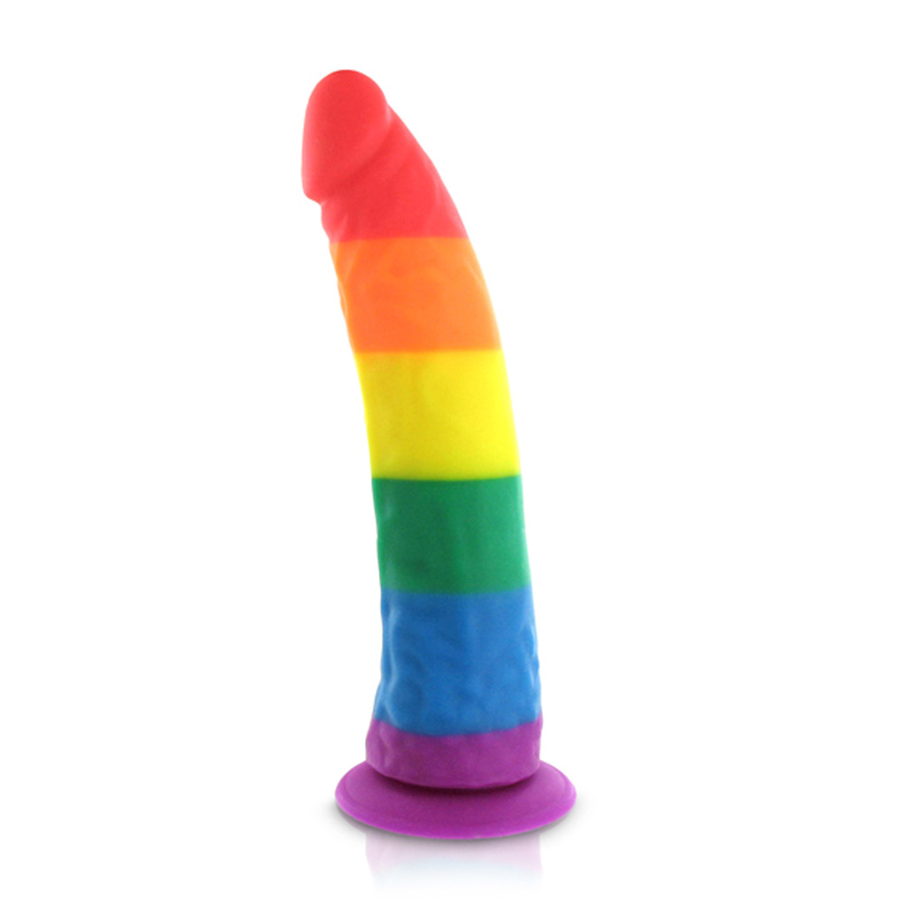 Pride Dildo – Silicone Regenboog Dildo