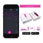 Lovense - Ferri Panty Vibrator met App info