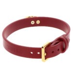Taboom - O Ring Collar sluiting