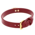 Taboom - O Ring Collar