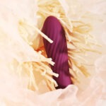 Svakom - Tulip Vibrator Paars zacht