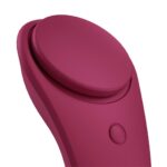satisfyer sexy secret panty vibrator
