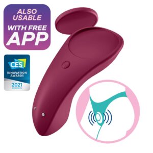 sexy secret panty vibrator