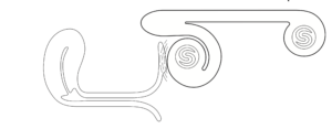 snail vibe clitoris stimulatie