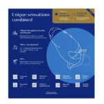 Womanizer DUO 2 - Blauw