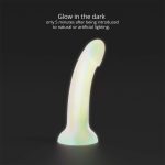 Love to Love - Dildo Fantasia glow in the dark