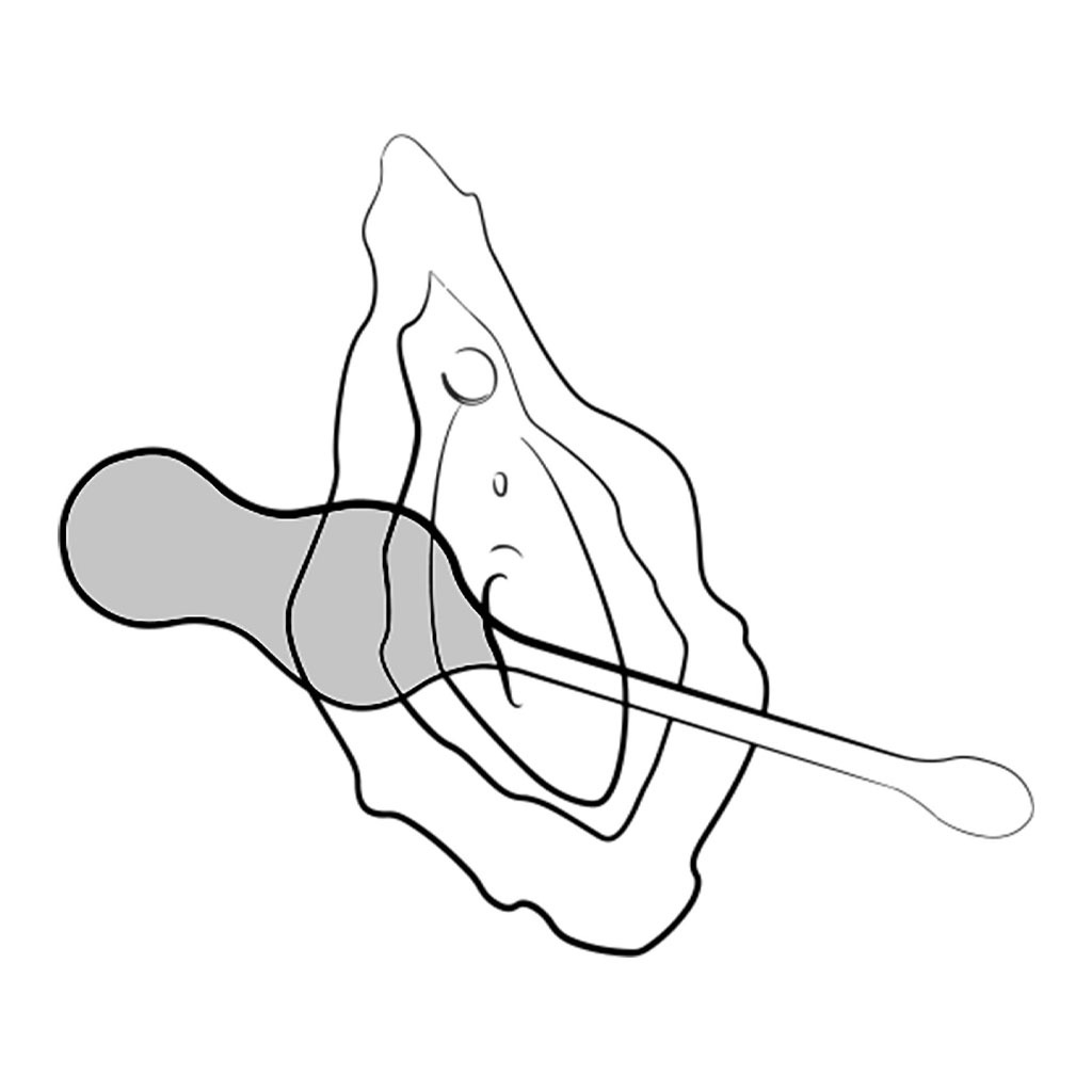 ROMP - Cello Vibratie ballen vagina