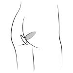 ROMP - Bass Vibrerende Buttplug anal
