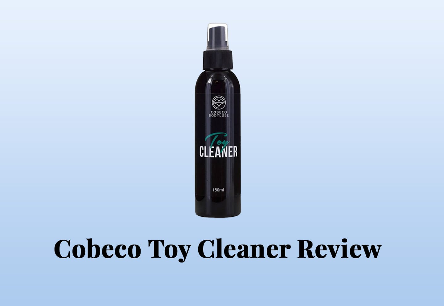 Review Cobeco Toycleaner