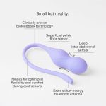 Perifit - Care+ Bekkenbodem Trainer Lila info