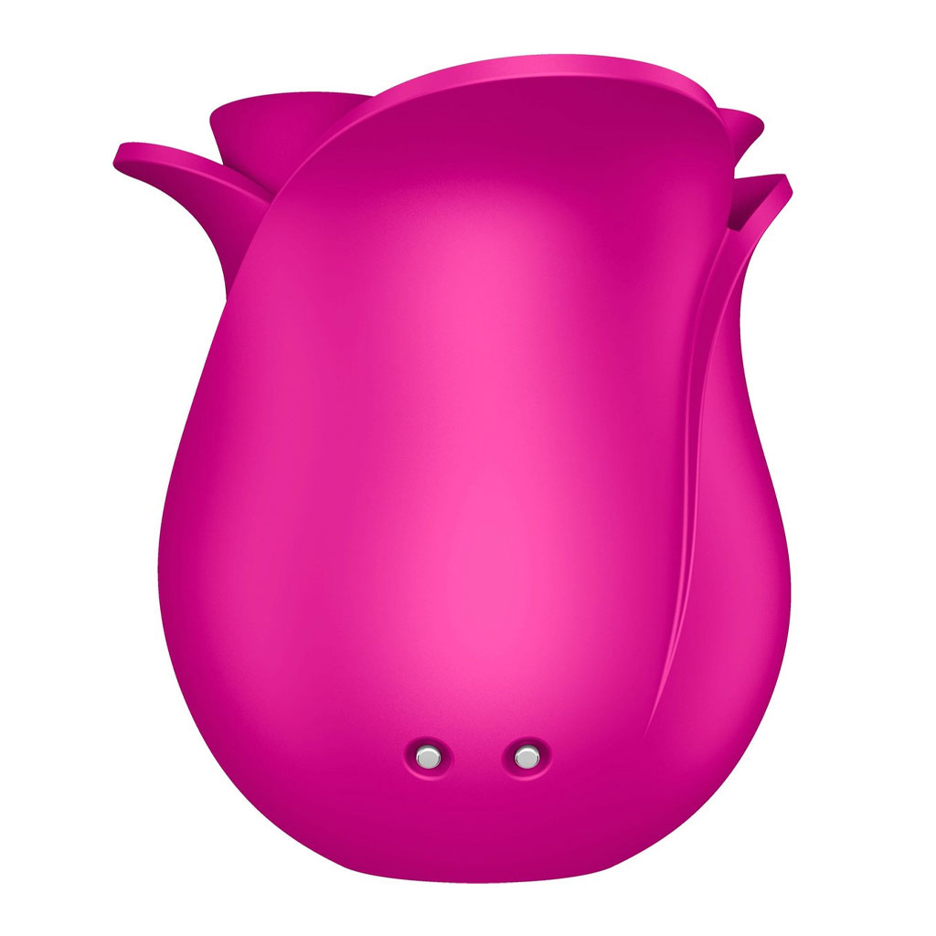 Satisfyer - Pro 2 Modern Blossom achter
