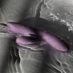 Svakom - Trysta Neo Rabbit Vibrator met G-Spot Ball waterproof