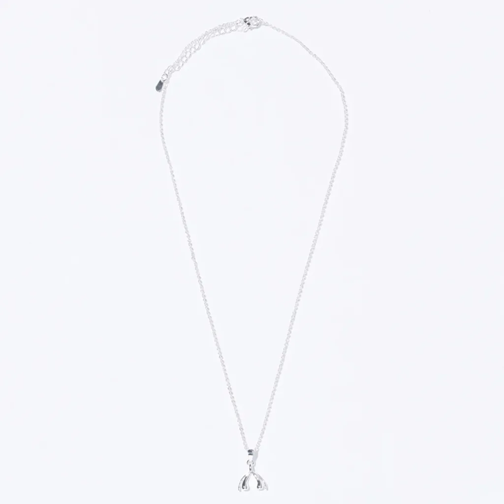 Clitoris ketting zilver
