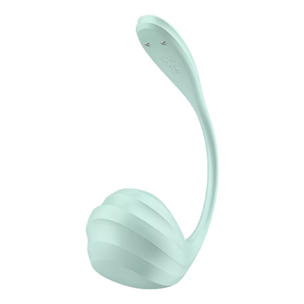 Satisfyer - Smooth Petal Vibratie Ei Mint kopen