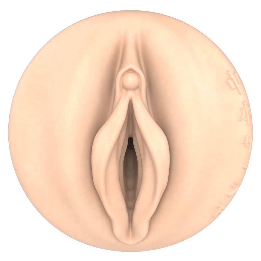 Fleshlight Fantasy - Sasha Nakamoto Ecchi vagina