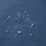 Liberator Fascinator Throw Mini