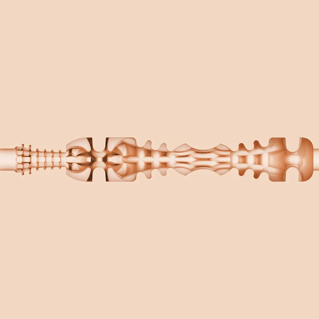 Fleshlight - Riley Reid Insomnia - Mond Masturbator