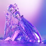 Biird Cecii - Glazen Dildo