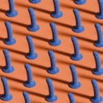 Biird Bae - Slanke Siliconen Dildo