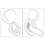 ROMP Pink Peach luchtdruk vibrator