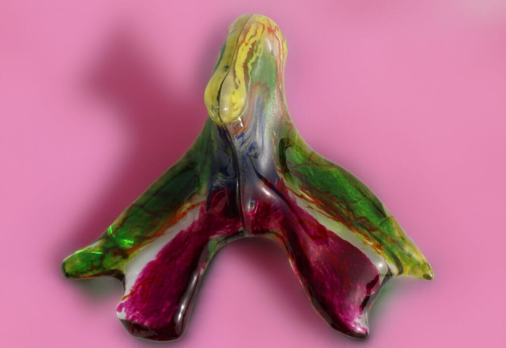 Blog nieuw onderzoek clitoris 2026