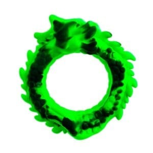 Beasty Cocks - Dragon Loop Cockring